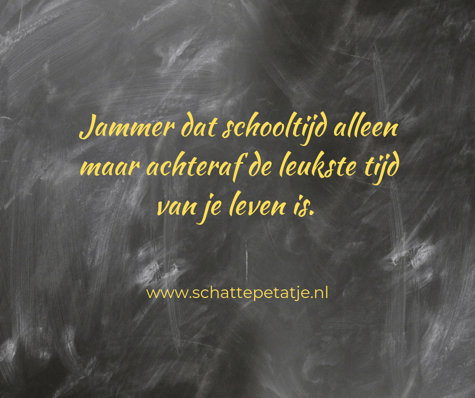 Quote Jammer dat schooltijd alleen maar achteraf de leukste tijd van je leven is. 