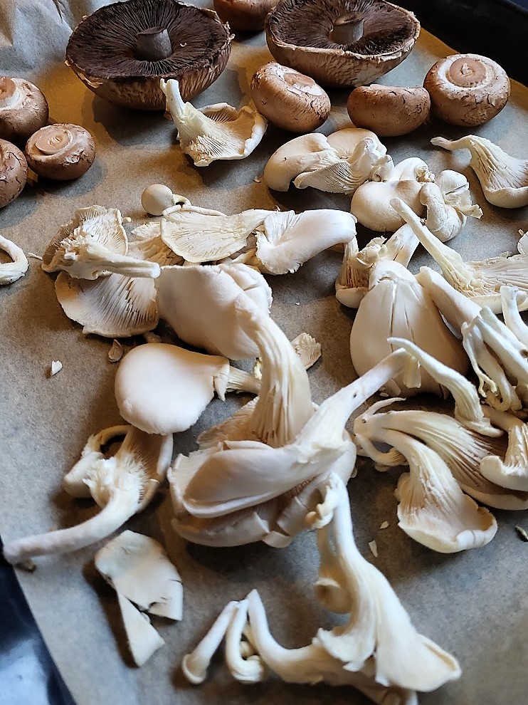 bakplaat met champignons